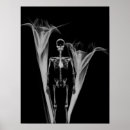 Suche nach halloween skelett poster Blume