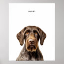 Suche nach hundeporträt poster Jagdhund