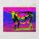 Suche nach cowen postkarten Kuh