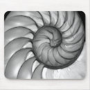 Suche nach nautilus muschel mousepads Natur
