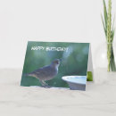 Suche nach thrash karten Vogelbeobachtung