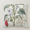 Suche nach dorn kissen Botanisch