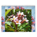 Suche nach plumeria kalender Frangipani