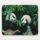 Suche nach bambus mousepads Panda