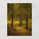 Suche nach light postkarten Wald