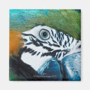 Suche nach papagei magnete Blau