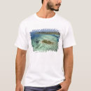 Suche nach fidschi inseln tshirts Luftbild