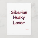 Suche nach siberian husky postkarten Sibirisch