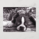 Suche nach mit bedauern postkarten Schwarz weiß