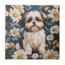 Suche nach shih tzu fliesen Welpe