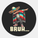 Suche nach poncho aufkleber Sombrero