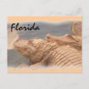 Suche nach liebe florida postkarten Ozean