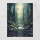 Suche nach geheimnisvolles postkarten Wald