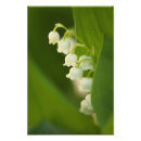 Suche nach alle stämme poster Mit blumen