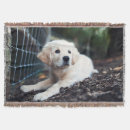 Suche nach labrador decken Haustier