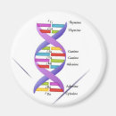Suche nach dna magnete Natur