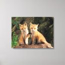 Suche nach roter fuchs leinwandbilder Rotfuchs
