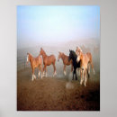 Suche nach pferdeplakat poster Tiere