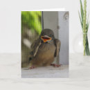 Suche nach lächelnder vogel Glücklich