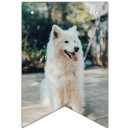 Suche nach geburtstagshund Welpe