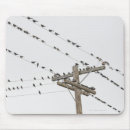Suche nach drähte mousepads Vögel