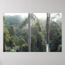 Suche nach regenwald poster Landschaft
