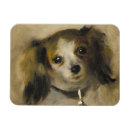 Suche nach leiter magnete Hund