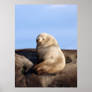 Suche nach stelle poster Meer