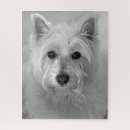 Suche nach westie puzzle Hund