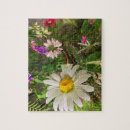 Suche nach gänseblümchen puzzle Feld