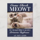 Suche nach lustiges kätzchen postkarten Katzen