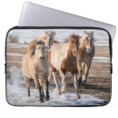 Suche nach läufer laptop schutzhüllen Viertelpferd