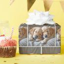 Suche nach begleiter geschenkpapier Jede person