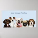 Suche nach niedliche welpen poster Haustiere