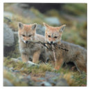 Suche nach chile untersetzer Rot