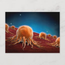 Suche nach immunologie postkarten Biologie