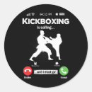 Suche nach kickboxen aufkleber Kämpfer