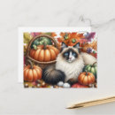 Suche nach ragdoll katze postkarten Jede person