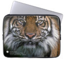 Suche nach der tiger laptop schutzhüllen Katze
