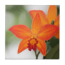 Suche nach tropische fliesen Orchidee