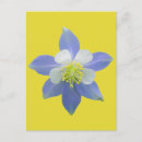 Suche nach spalten postkarten Blume