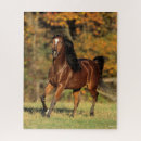 Suche nach araber puzzle Rasse