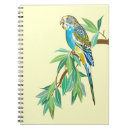 Suche nach budgerigar Haustier