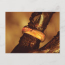 Suche nach tolkien postkarten Freundschaft des ringes