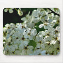 Suche nach blüten mousepads Botanisch
