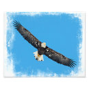 Suche nach symbolisch poster Natur