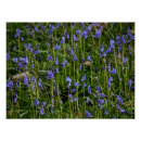 Suche nach blaues holz poster Blume