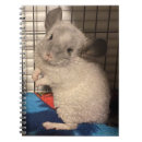 Suche nach chinchilla kleine notizbücher Niedlich