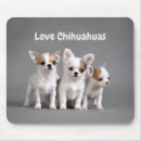 Suche nach chihuahua hund mousepads Niedlich
