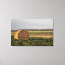 Suche nach landwirtschaft leinwandbilder Bauernhof